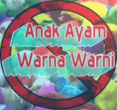 Bahaya Memelihara Anak Ayam Warna Warni Bagi Kesehatan Anak Kesehatan Anak Warna Ayam