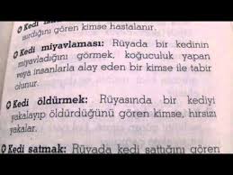 Ruyada Kedi Oldurmek Videolu Ruya Tabirleri 2020 Kedi Ruya