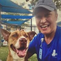 300+ perfiles de «Horbal»