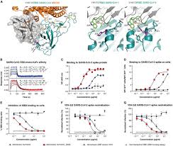 Briana Sprinz NSFW YouTube – hidden desires