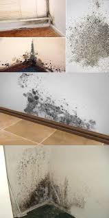 как избавиться от плесени и грязных швов между плиткой Poleznosti V 2020 G Priyomy Dlya Ochistki Ubrat Plesen I Uborka Doma Sovety