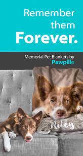 Wrap Yourself In A Photo Blanket From Pawpillo Over 650 Five Star Reviews One Of The Best Companies On Etsy Pets Happy Dogs Training Your Dog