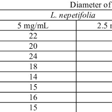 Image result for Vernonia nepetifolia