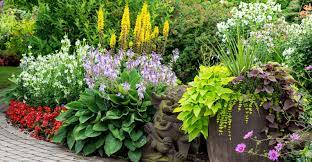 We prefer fall because the soil is already warmed. Know Your Plants Annual Vs Perennial My Garden Life