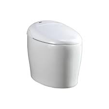 Designed to the highest in personal care standards. Ove Decors Ove Decors Tuva Elongated Bidet Toilet In White