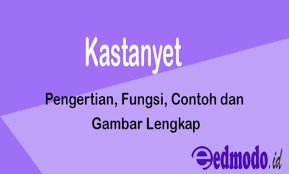 Salah satunya adalah alat musik ritmis yang juga sering digunakan sebagai elemet penting dalam lagu. Kastanyet Pengertian Fungsi Contoh Dan Gambar Lengkap