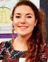 EDUCATIONAL PROGRAMME IN PLASTIC SURGERY