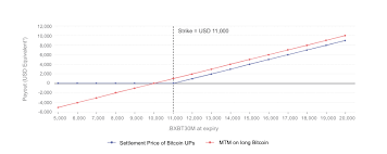 Upside Profit Contracts Guide Bitmex