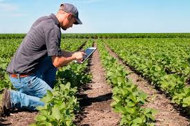 Una entidad criticó una norma del banco central que impide financiarse con tasas diferenciadas a la agricultura. Las Tic Para Mejorar La Agricultura Sustentable Y La Seguridad Alimentaria