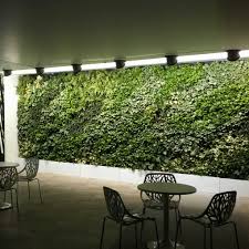 Search all products, brands and retailers of indoor vertical gardens: How To Make Vertical Garden Indoor Living Wall Home Designs Inspiration