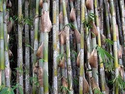 Kayu dengan ukuran sesuai keinginan, yang akan. 15 Contoh Kerajinan Dari Bambu Yang Mudah Dibuat Dan Sederhana