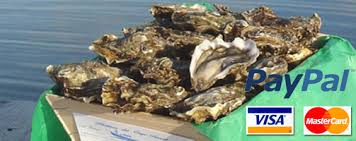 Huîtres creuses fines de bretagne, élevées à carnac (56) au cœur de la baie de q. Conserver L Huitre Methode De Conservation Des Huitres
