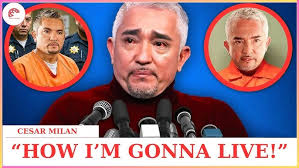 Dog Obedience exercises: Graduate Open Class