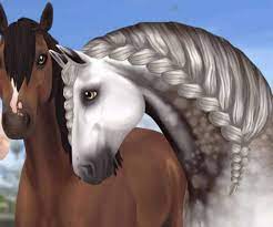 Ride and take care of your own horses and explore the exciting island of jorvik. Welches Sso Pferd Passt Zu Dir Testedich