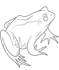Add this page to your favorites. Frog Coloring Page 1 Online Coloring Pages