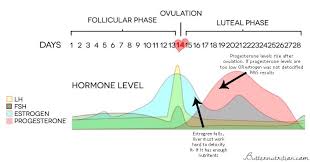 Pin On Happy Hormones