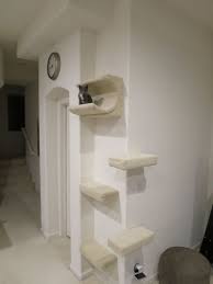 Did you scroll all this way to get facts about corner cat perch? What Is The Purpose Of Decorative Cat Wall Shelves And How To Build Them Darbylanefurniture Com Cat Wall Shelves Cat Wall Wall Shelves