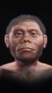 Scientists have identified a potentially new species of ancient human,  known as Homo juluensis.