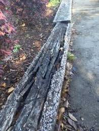 Trust charleston pest control for your termite inspection & pest. 36 Termites Ideas Termites Termite Damage Formosan