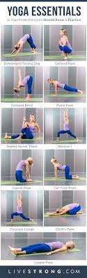 Yoga For Beginners Everything You Need To Know To Get Started Livestrong Com Essential Yoga Poses Easy Yoga Workouts Yoga Poses For Beginners