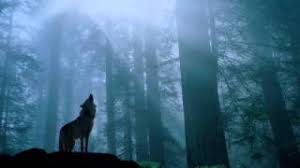 Downloads include mp3, pdf and bmw files. Flowers Of The Forest Bagpipes Youtube