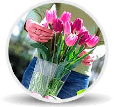 Check spelling or type a new query. Fresh Cut Flowers From Holland Buy At Astraflowers Com