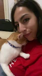 Gatto coccolone #ron #gatto #cat #viralcat