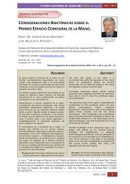 Pdf Anatomical Considerations Of The First Commissural Space Of The Hand