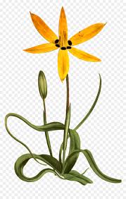 Free Free 110 Flower Svg Clip Art SVG PNG EPS DXF File