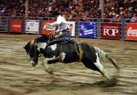 Rodeo synonyms, rodeo pronunciation, rodeo translation, english dictionary definition of rodeo. Harte Manner Wilde Pferde Rodeo In Kanada Wonderful Places