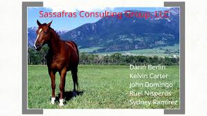 Sharp Memorial Hospital: Assessment by Ruel Nisperos