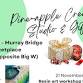 Resin art workshop (MURRAY BRIDGE, SA) event image