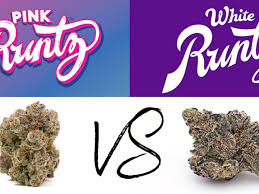 Most users say the strain gives a euphoric high, while some say it makes them glued to the couch. What Is The Best Runtz Strain For You In 2021