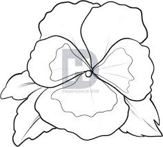 Each flower has a full size page with the drawing steps on the left and a blank area to draw on the right. How To Draw Flowers Diy Thought