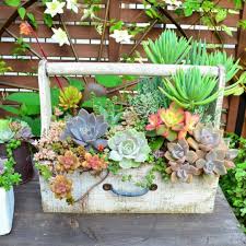 Small Succulent Container Garden Ideas 15 Small Succulent Container Garden Ideas 15 Design Id Succulents In Containers Succulent Garden Design Succulents Diy