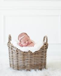 Babies In Baskets Newborn Babies Newborn Baby Photography Newborn Props Newbo Newborn Baby Photography Newborn Baby Photoshoot Newborn Photography Girl
