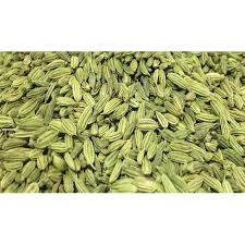 The different verities supplied by us include Fennel In Malay