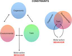 Aug 21, 2019 · constraints are factors that limit, contain, or help shape the development of movement. On The Relatedness And Nestedness Of Constraints Sports Medicine Open Full Text