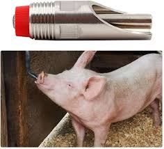 By heidi 1 comment ✓ this post may contain affiliate links*. Automatic Pig Waterers 5 Pieces Thread Stainless Steel Automatic Pig Waterer Nipple Fountains Drinkers With Red Cap Long Rod For Sows Piglets Drinking Water Patio Lawn Garden Farm Ranch