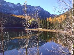 The area includes approximately 68,700 acres and encompasses the headwaters of pine, indian, strawberry, canyon, bear, lake, wall, roberts, and big creek. Malheur National Forest Wikipedia