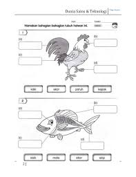 → → bank soalan peperiksaan dan koleksi nota untuk upsr, pt3, spm, stpm, muet. Soalan English Akhir Tahun 3 Terengganu X