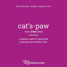 Cat S Paw Word Of The Day August 8 2019 Words One Word Quotes Uncommon Words