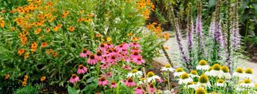 What is a pollinator garden. Pollinator Garden Hill Stead Museum