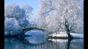 On the wide lawn there are many fir trees standing under the snow on the frosty winter day. Beautiful Winter Wallpaper 2016 Youtube