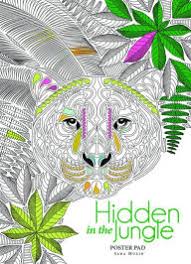 Inspired by poe's beloved stories, begay has created images that reference settings, motifs, and details that fans will recognize. Edgar Allan Poe An Adult Coloring Book By Odessa Begay Paperback Barnes Noble