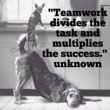 Teamwork Quote Teamwork Divides The Task And Multiplies The Success Tea Inspirational Teamwork Quotes Team Building Quotes Motivational Quotes For Workplace