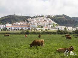 Come visit the saboia collection, in the ﻿cascais area, close to lisbon and sintra, a charming and historical destination, pursued by thousands of tourists every year. Vermietung Saboia Fur Ihren Urlaub Mit Iha Privat