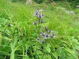 山大好きの山ちゃん２ - Seesaa