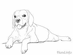 Süße hunde ausmalbilder # 95 images. Ausmalbilder Mit Hunden Hunde