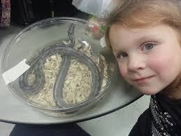 Mysterious creature, what is it?